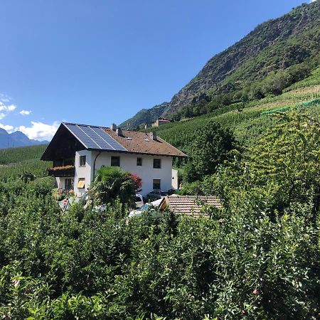 Pixnerhof - Urlaub Am Biohof Castelbello Exterior foto