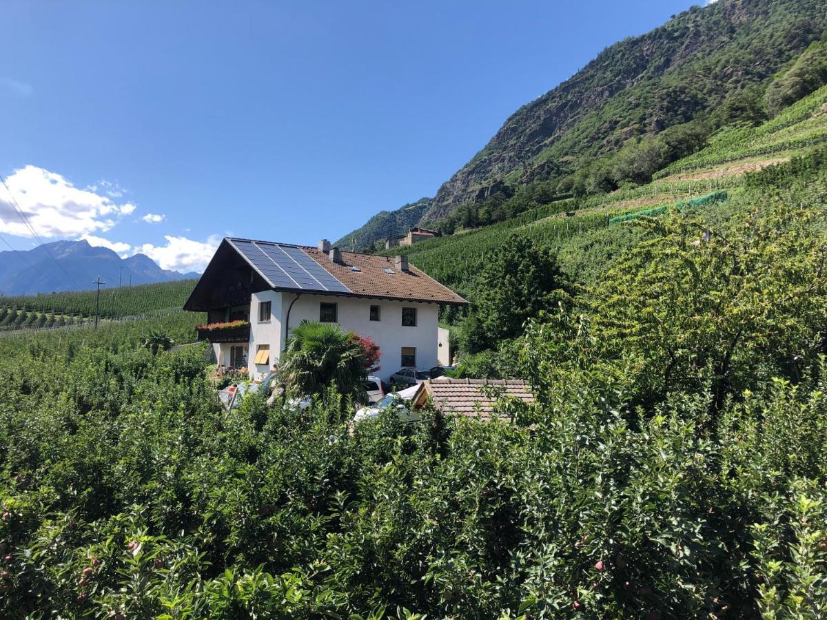 Pixnerhof - Urlaub Am Biohof Castelbello Exterior foto