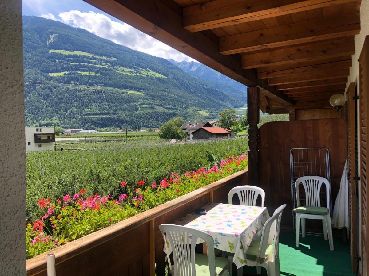 Pixnerhof - Urlaub Am Biohof Castelbello Exterior foto